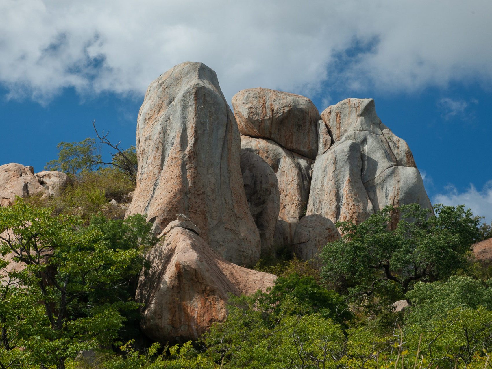 Selati Game Reserve