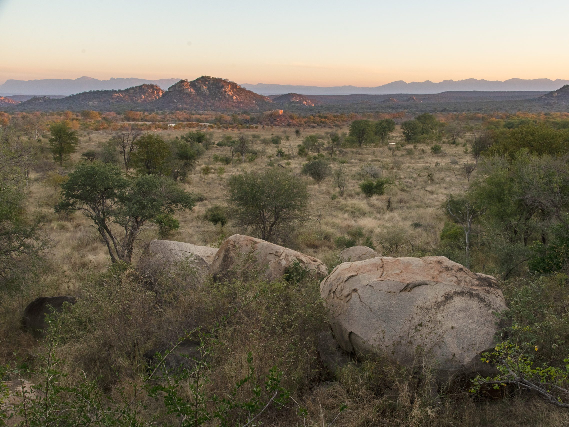 Selati Game Reserve