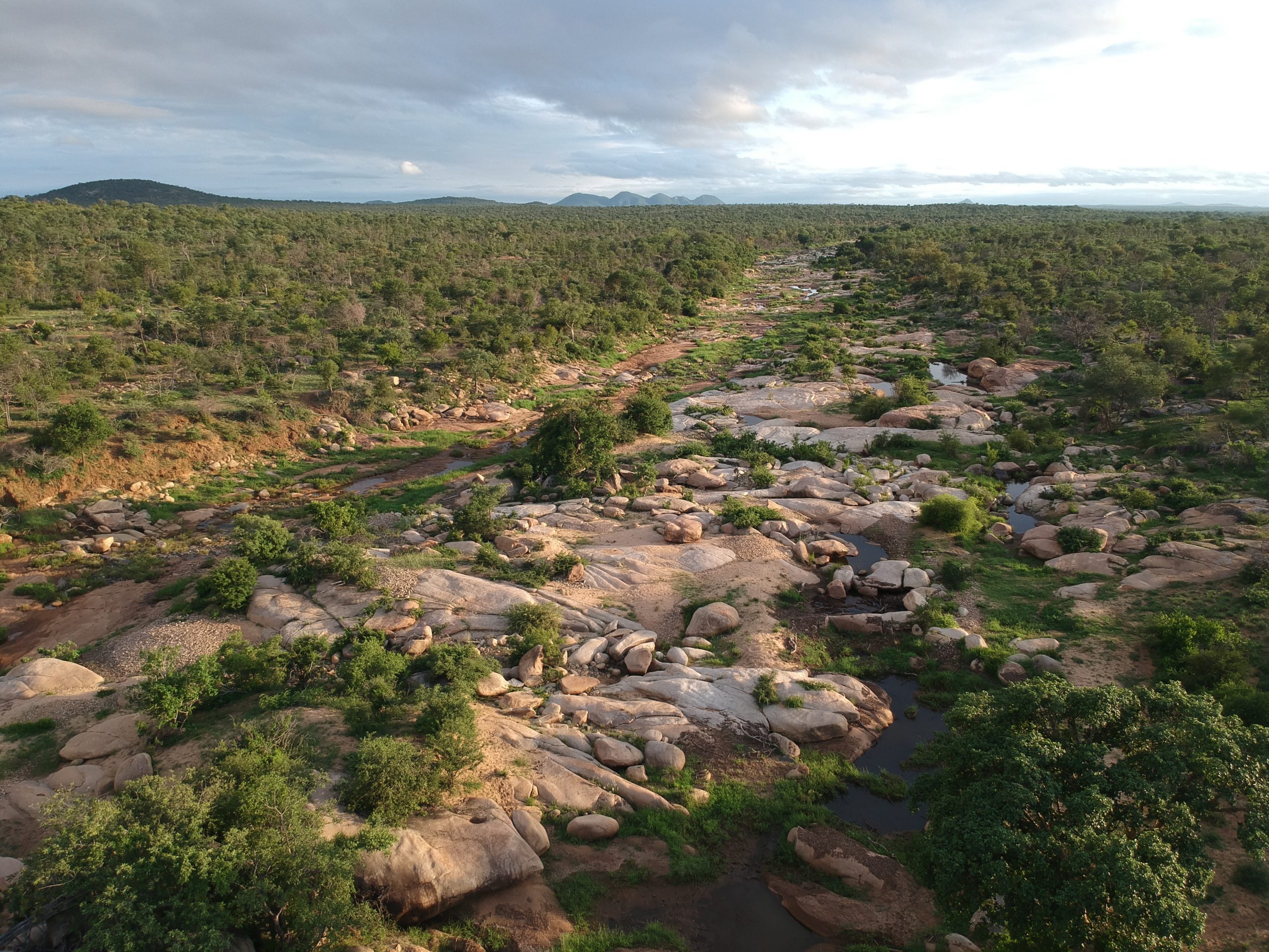 Selati Game Reserve